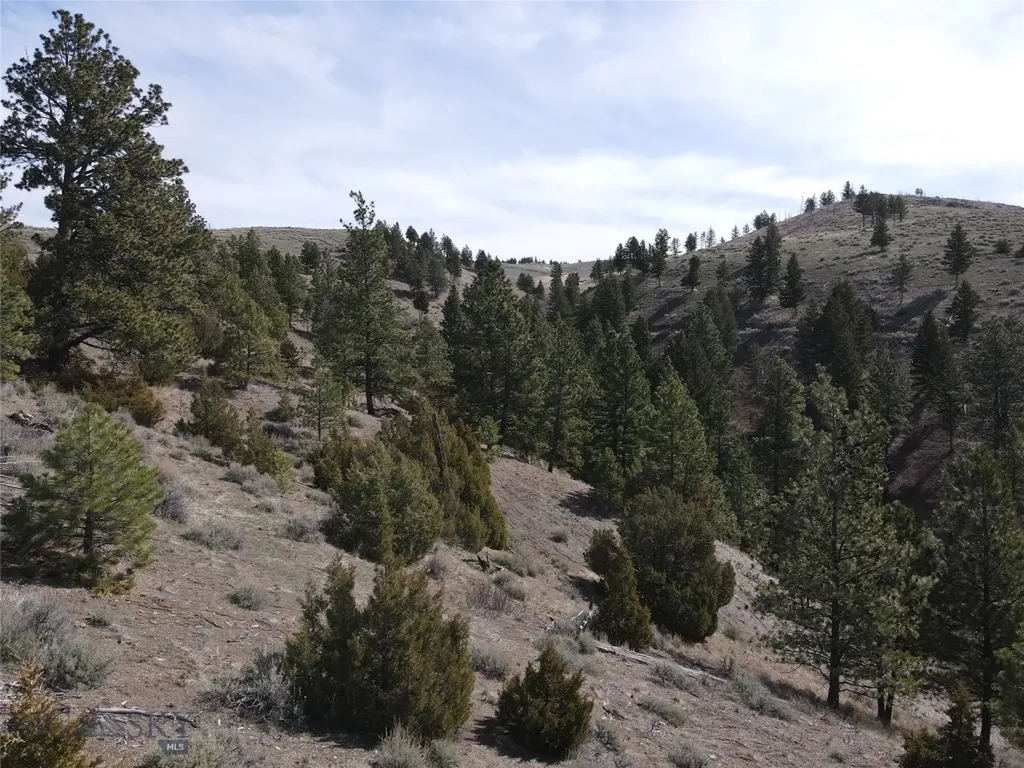 55 Upper Ross Gulch Townsend MT 59644
