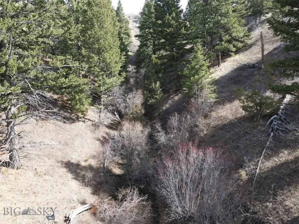 55 Upper Ross Gulch Townsend MT 59644