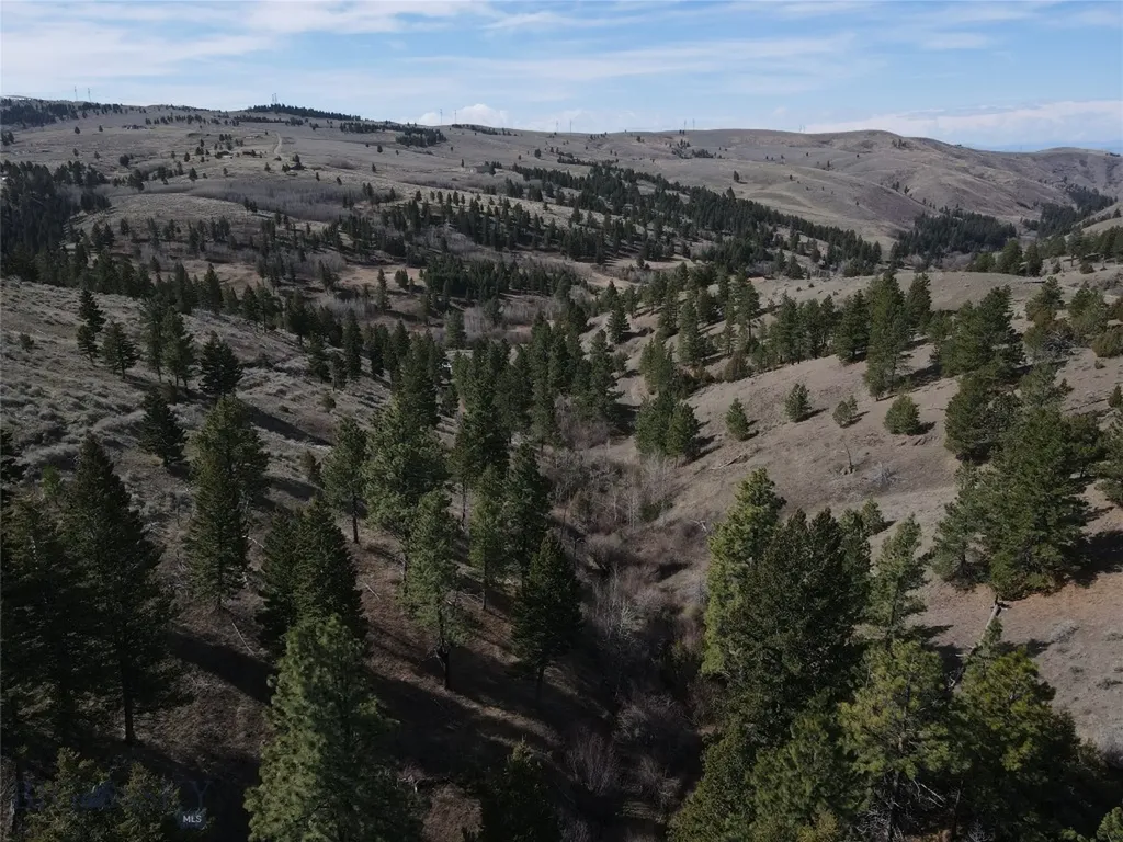 55 Upper Ross Gulch Townsend MT 59644