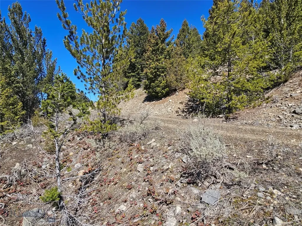 Tract J Shoot The Moon Lane Georgetown Lake MT 59711