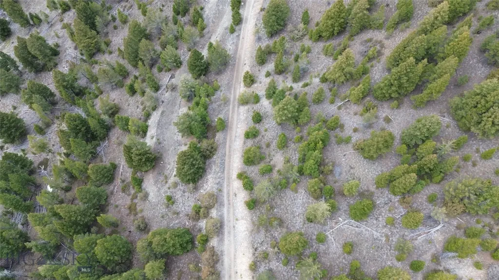 Tract J Shoot The Moon Lane Georgetown Lake MT 59711