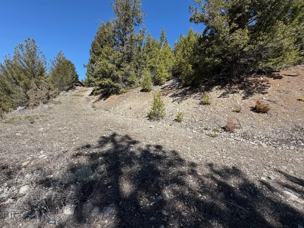 Tract J Shoot The Moon Lane Georgetown Lake MT 59711