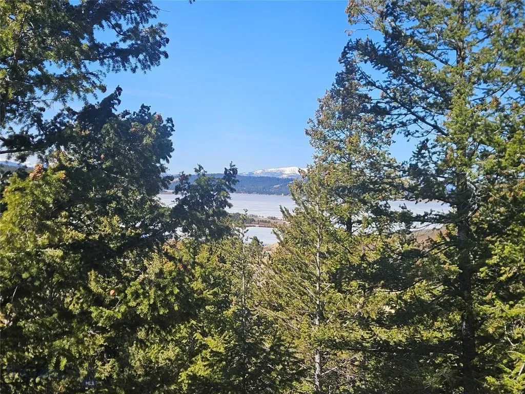 Tract J Shoot The Moon Lane Georgetown Lake MT 59711