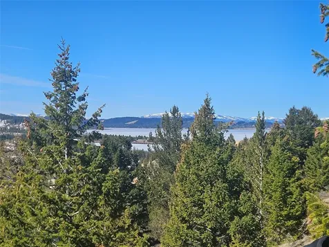 Tract J Shoot The Moon Lane Georgetown Lake MT 59711