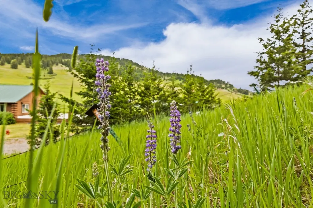 65 Quinn Creek Road Bozeman MT 59715