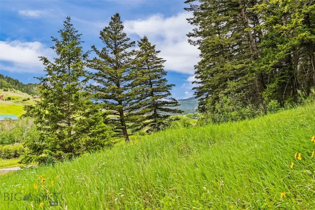 65 Quinn Creek Road Bozeman MT 59715