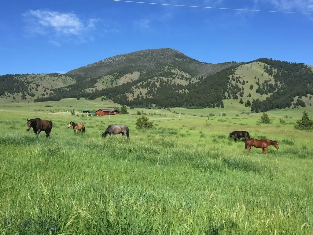 17630 Rocky Mountain Road Belgrade MT 59714
