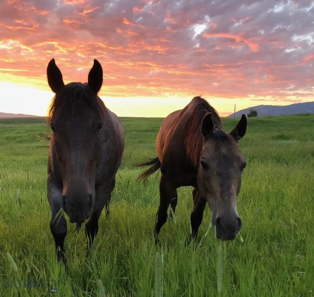 17630 Rocky Mountain Road Belgrade MT 59714