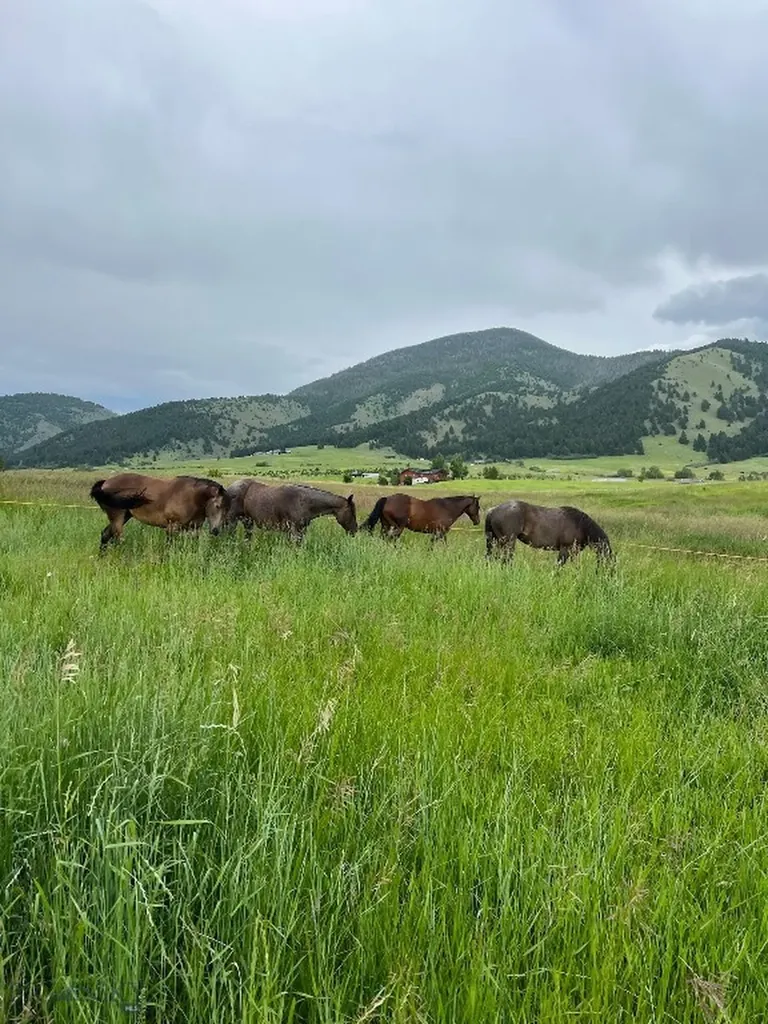 17630 Rocky Mountain Road Belgrade MT 59714