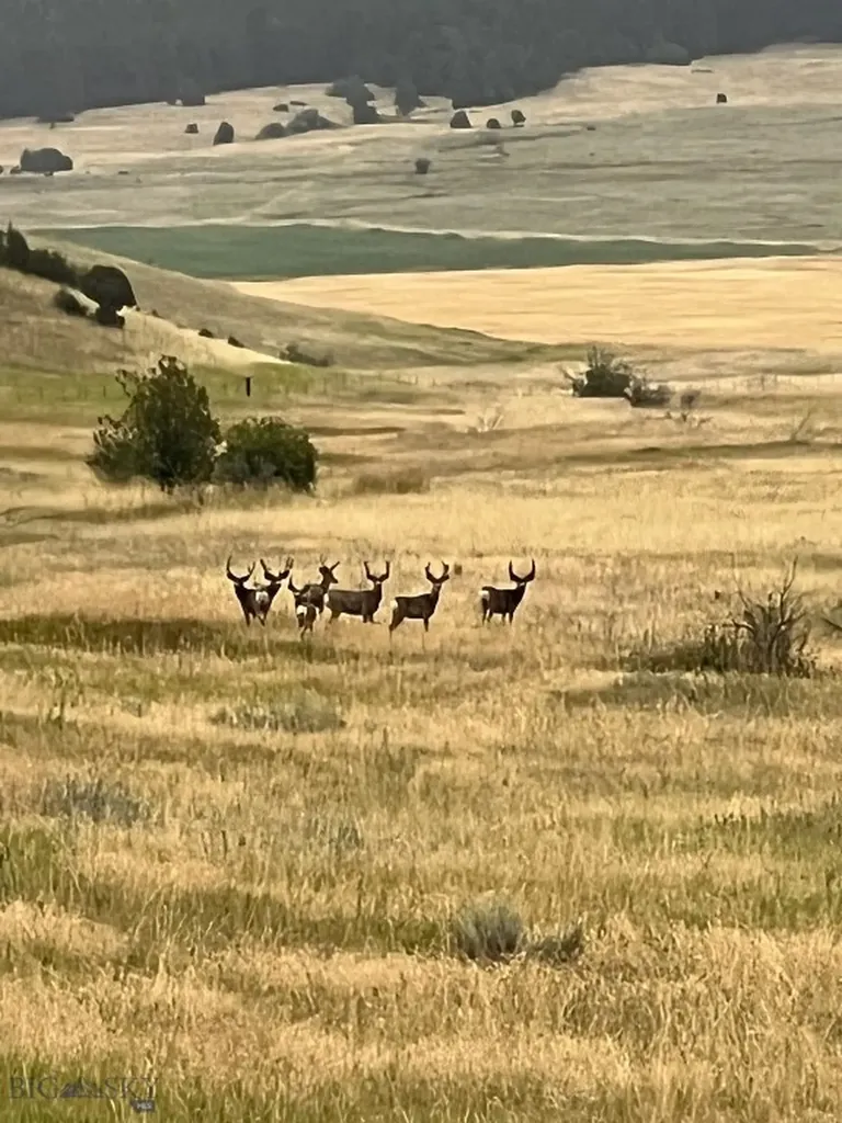 17630 Rocky Mountain Road Belgrade MT 59714