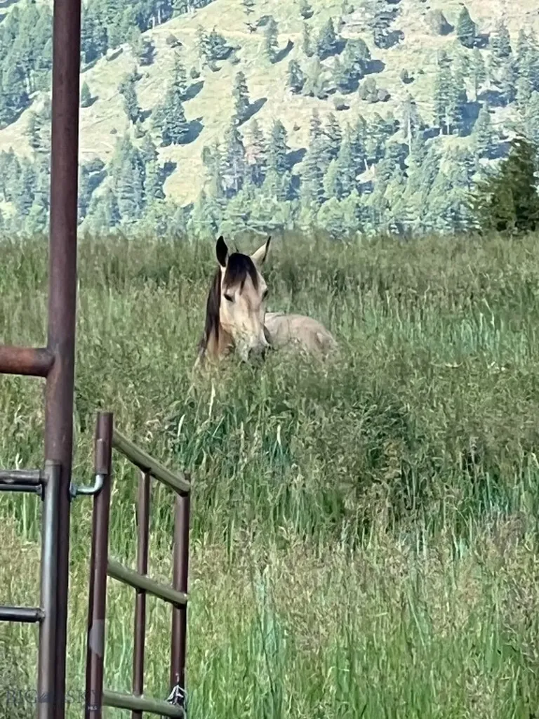 17630 Rocky Mountain Road Belgrade MT 59714