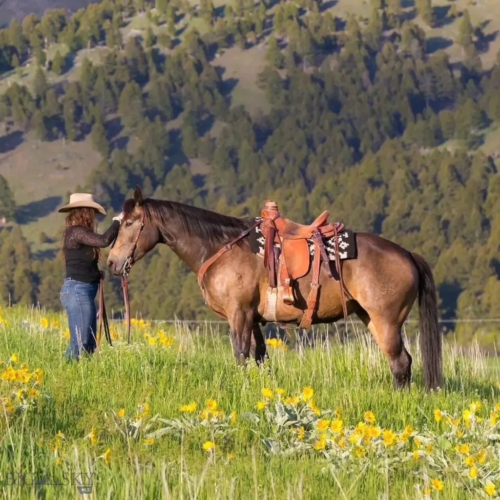 17630 Rocky Mountain Road Belgrade MT 59714