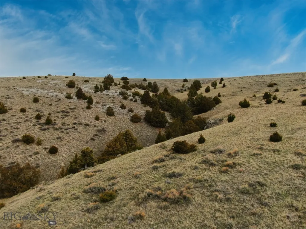Tbd Horseshoe Gulch Lot 167 Road Manhattan MT 59741
