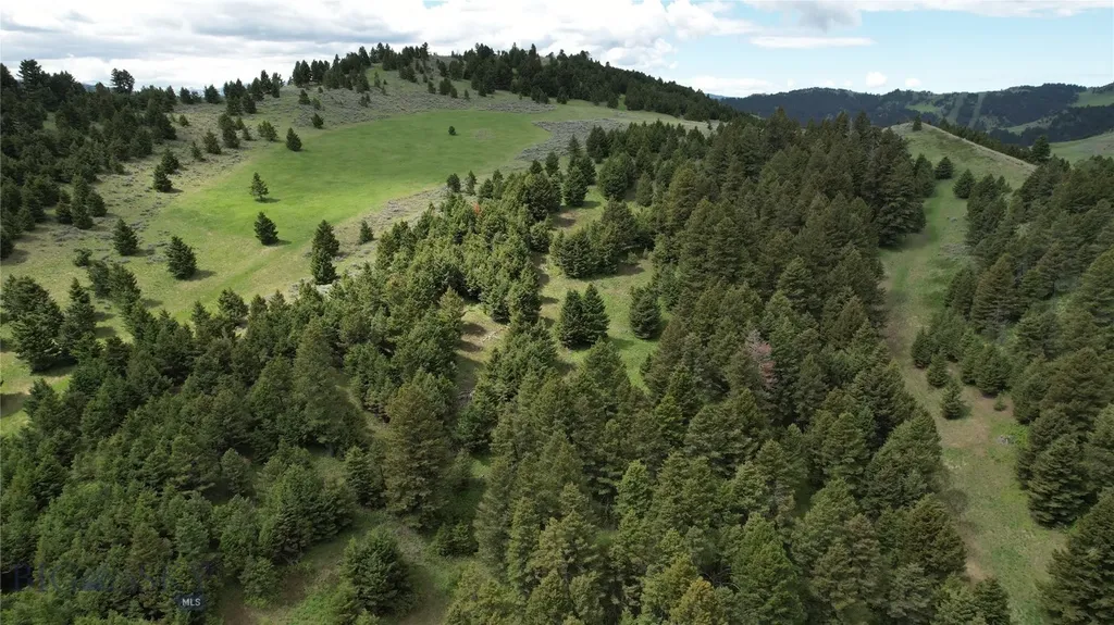 72 Sky Band Trail Livingston MT 59047