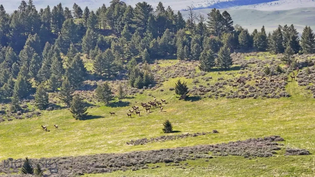 72 Sky Band Trail Livingston MT 59047