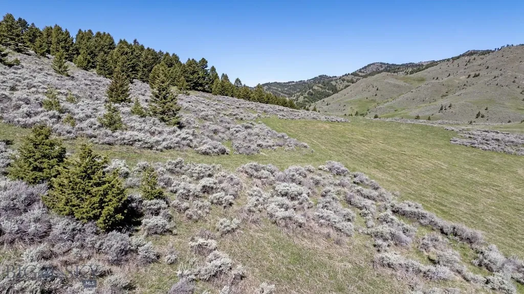 72 Sky Band Trail Livingston MT 59047