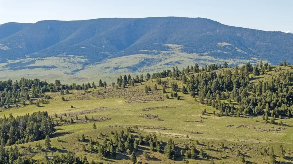 72 Sky Band Trail Livingston MT 59047