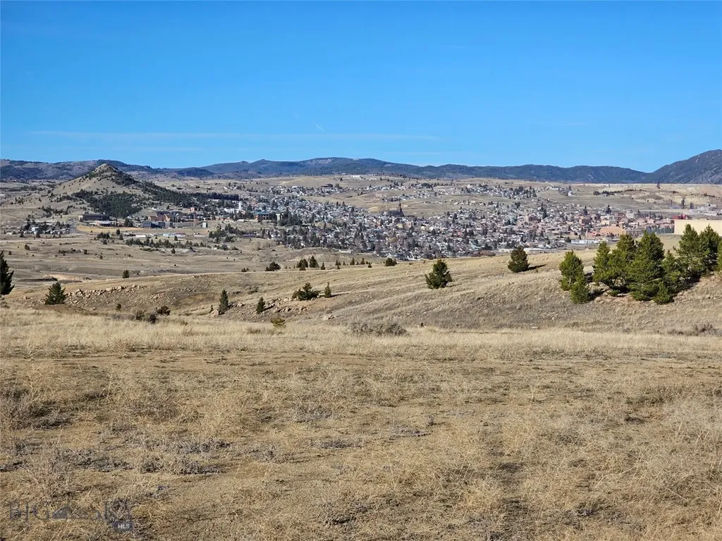 Tbd Buckhorn Lane Butte MT 59701