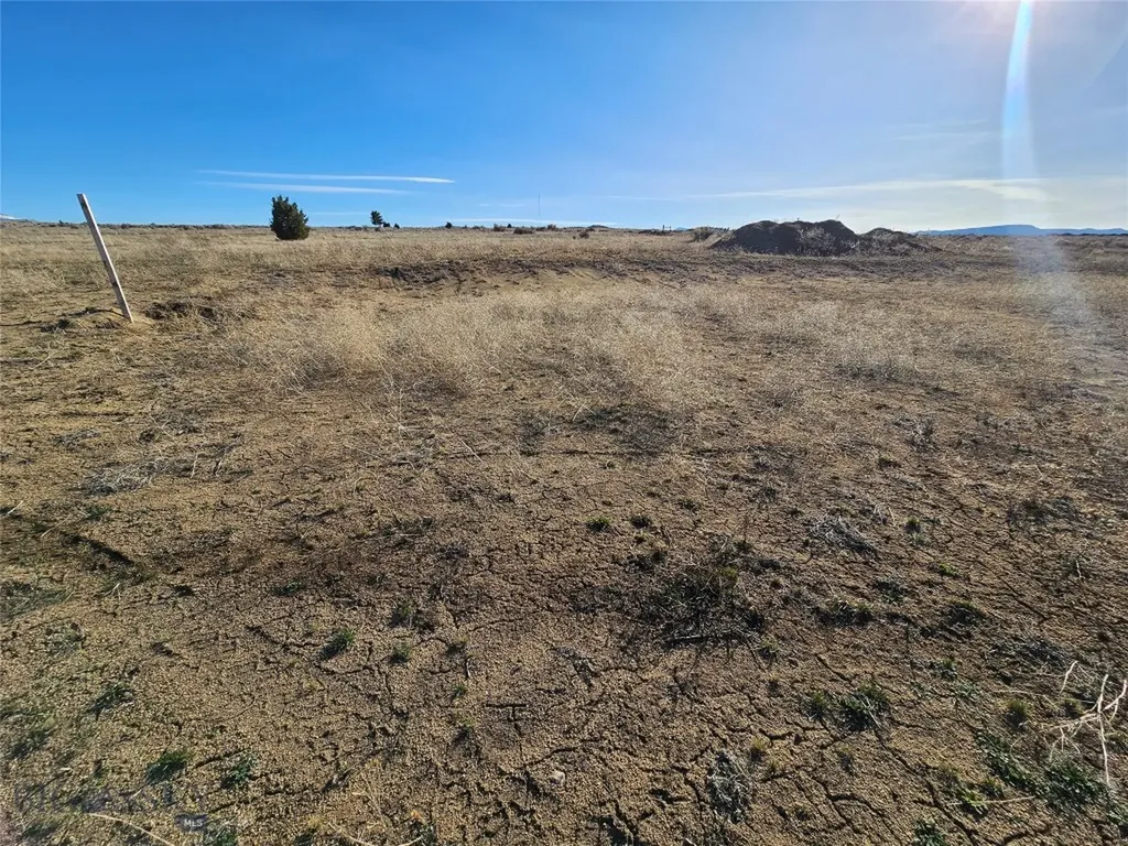 Tbd Buckhorn Lane Butte MT 59701