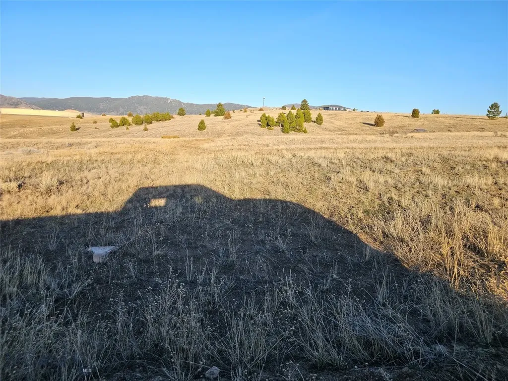 Tbd Buckhorn Lane Butte MT 59701