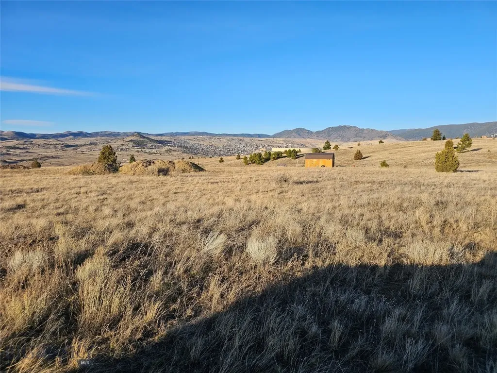 Tbd Buckhorn Lane Butte MT 59701
