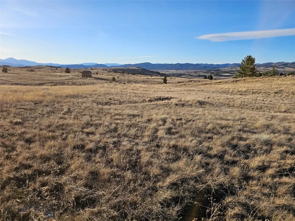 Tbd Buckhorn Lane Butte MT 59701