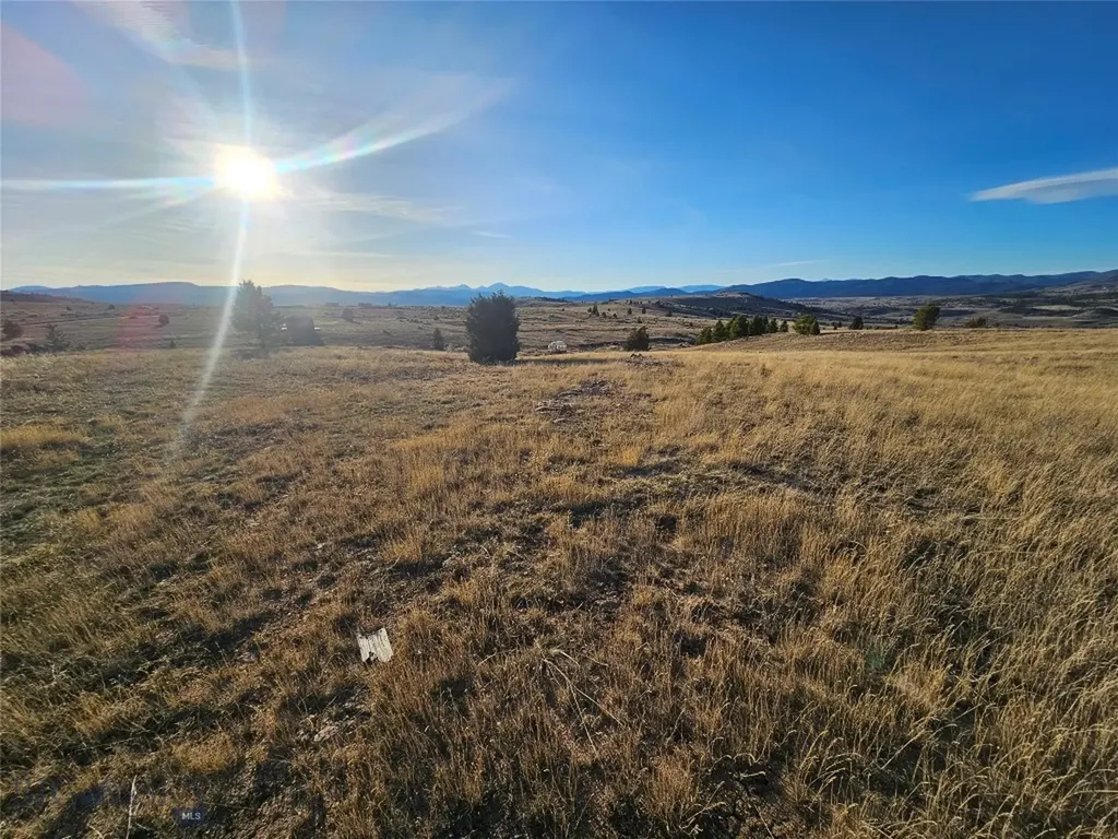 Tbd Buckhorn Lane Butte MT 59701