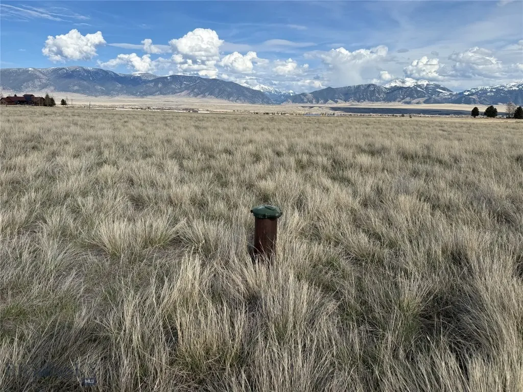 Pintail Ridge Lot 10 Pintail Ridge Road Ennis MT 59729