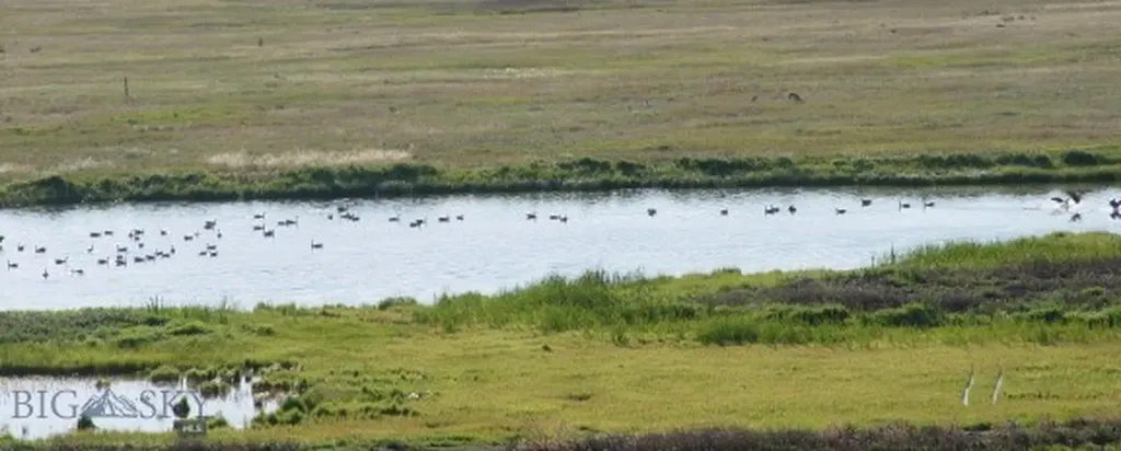 Pintail Ridge Lot 10 Pintail Ridge Road Ennis MT 59729