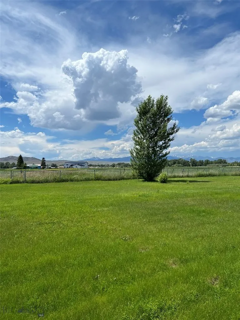 209 Taylor Drive Dillon MT 59725