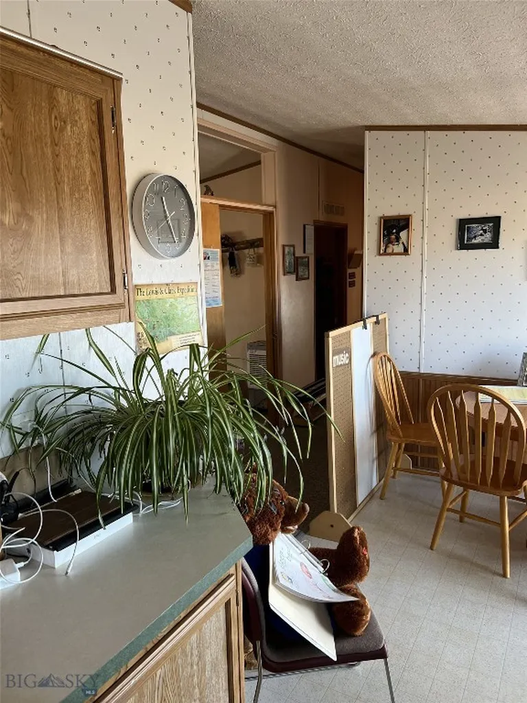 209 Taylor Drive Dillon MT 59725