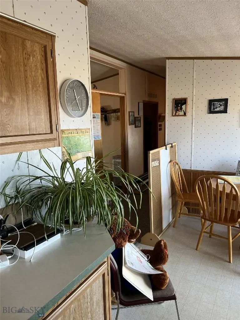 209 Taylor Drive Dillon MT 59725