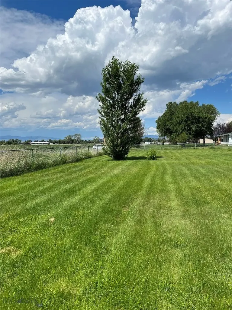 209 Taylor Drive Dillon MT 59725