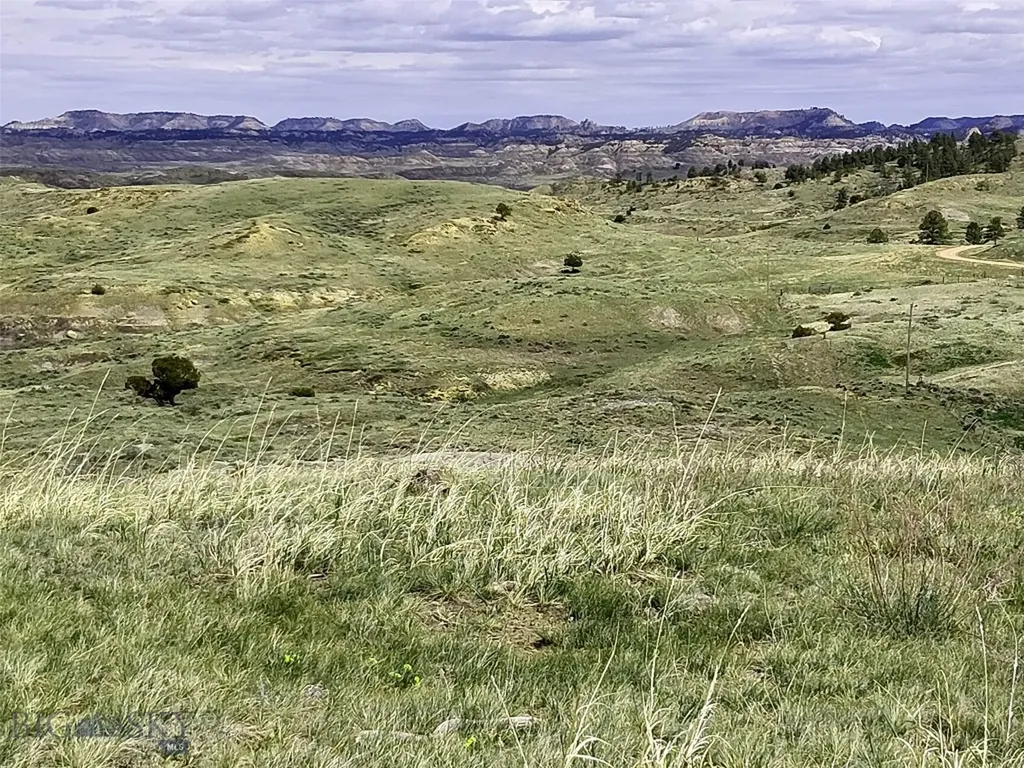 0 Davis Road Miles City MT 59301