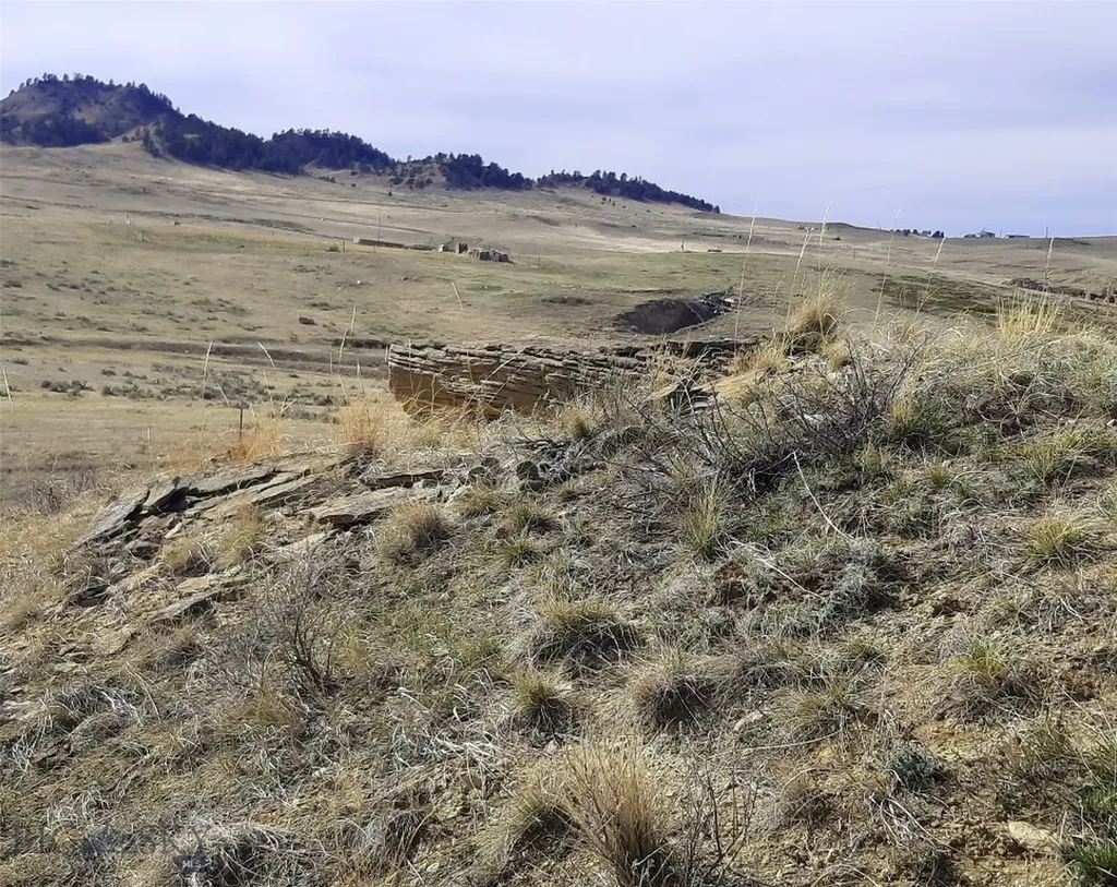 0 Davis Road Miles City MT 59301