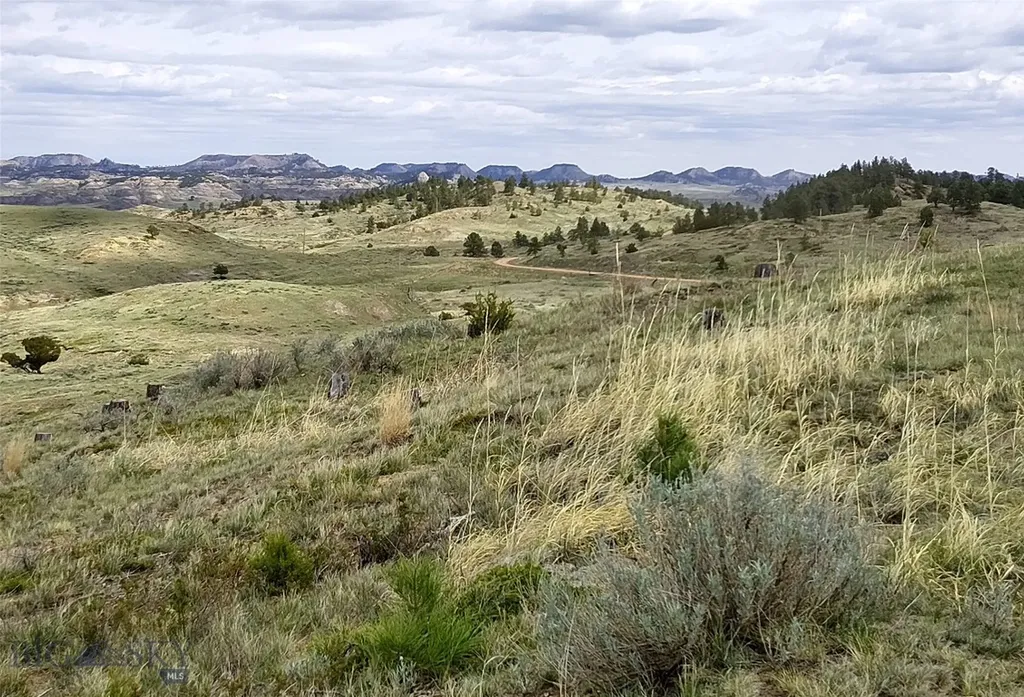 0 Davis Road Miles City MT 59301