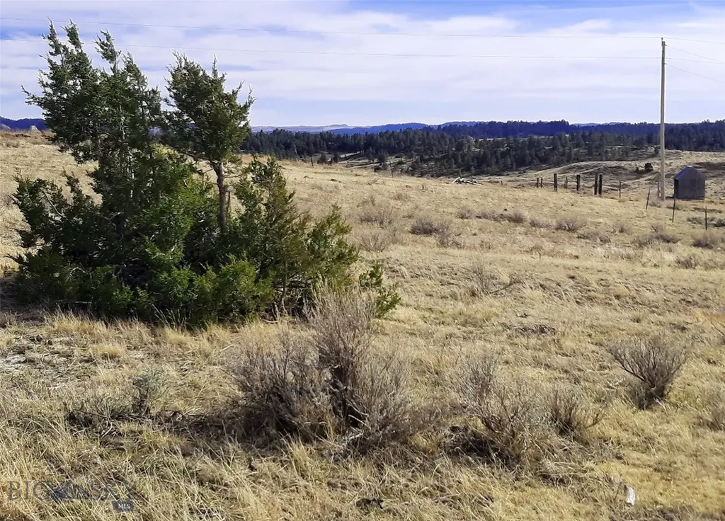 0 Davis Road Miles City MT 59301