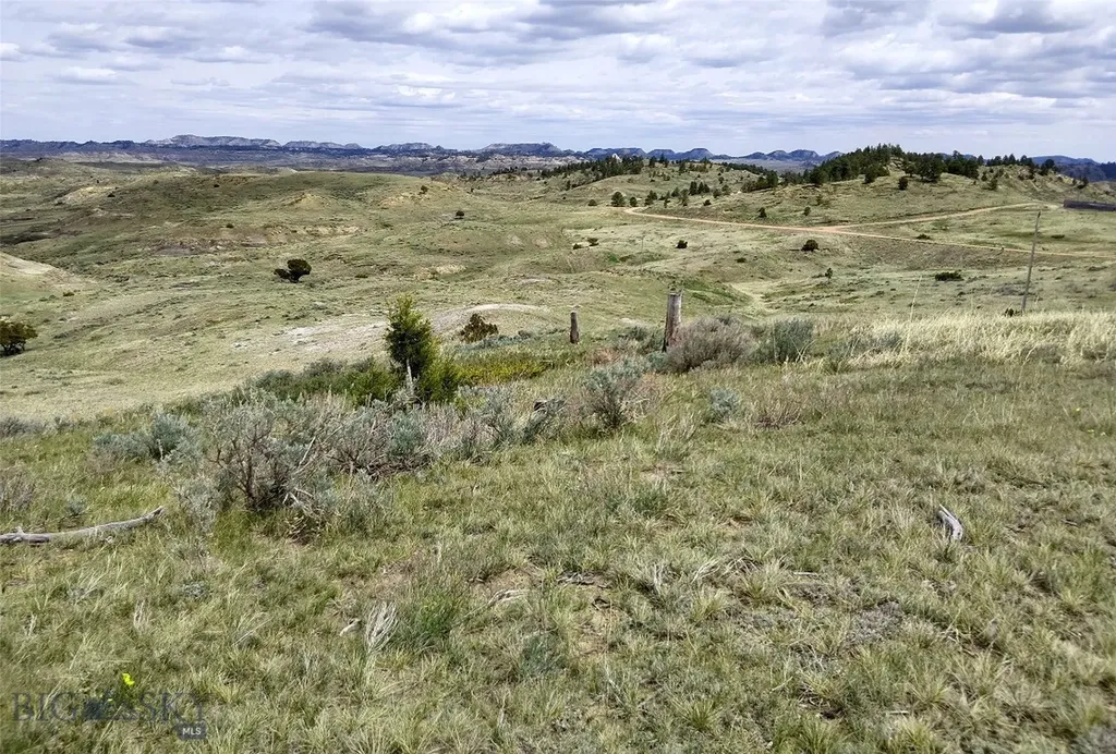 0 Davis Road Miles City MT 59301
