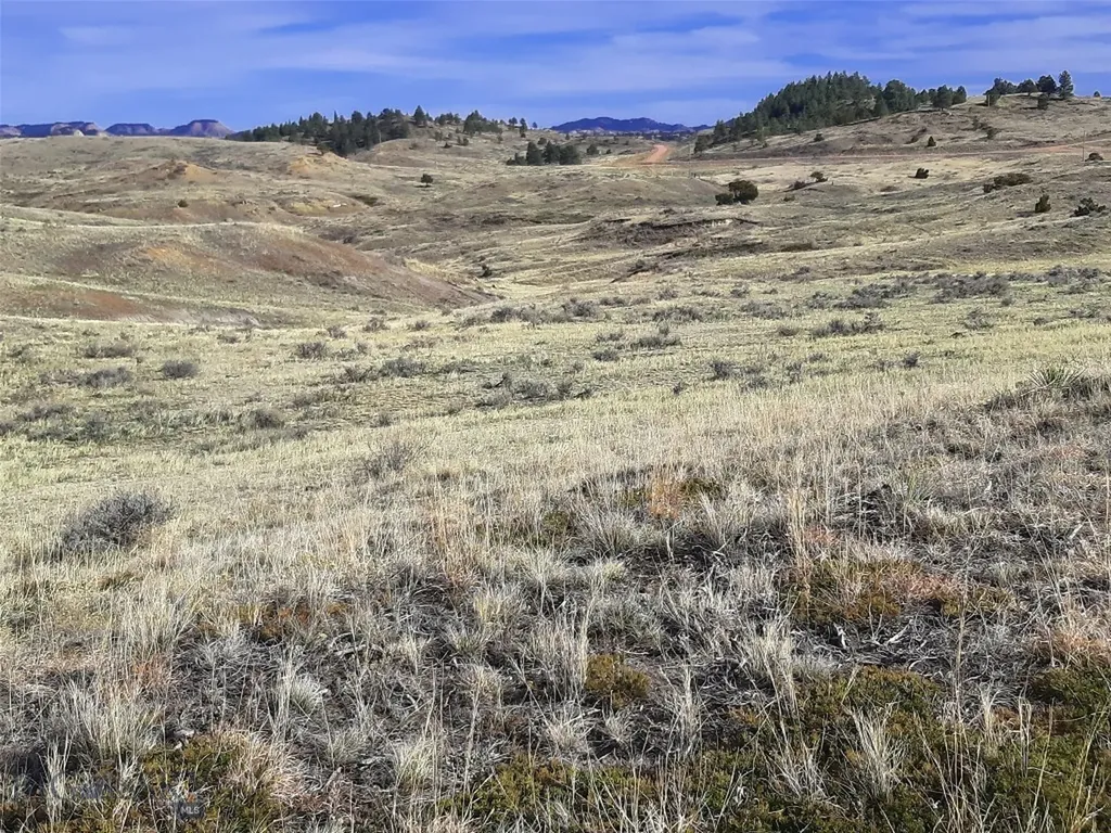 0 Davis Road Miles City MT 59301