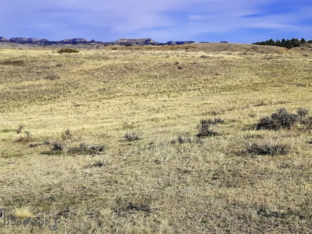 0 Davis Road Miles City MT 59301