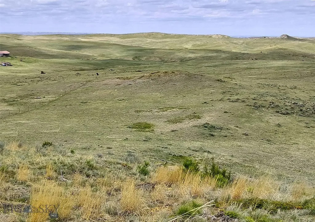 0 Davis Road Miles City MT 59301