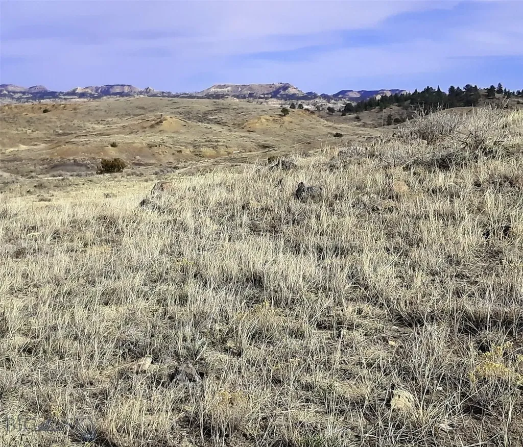 0 Davis Road Miles City MT 59301