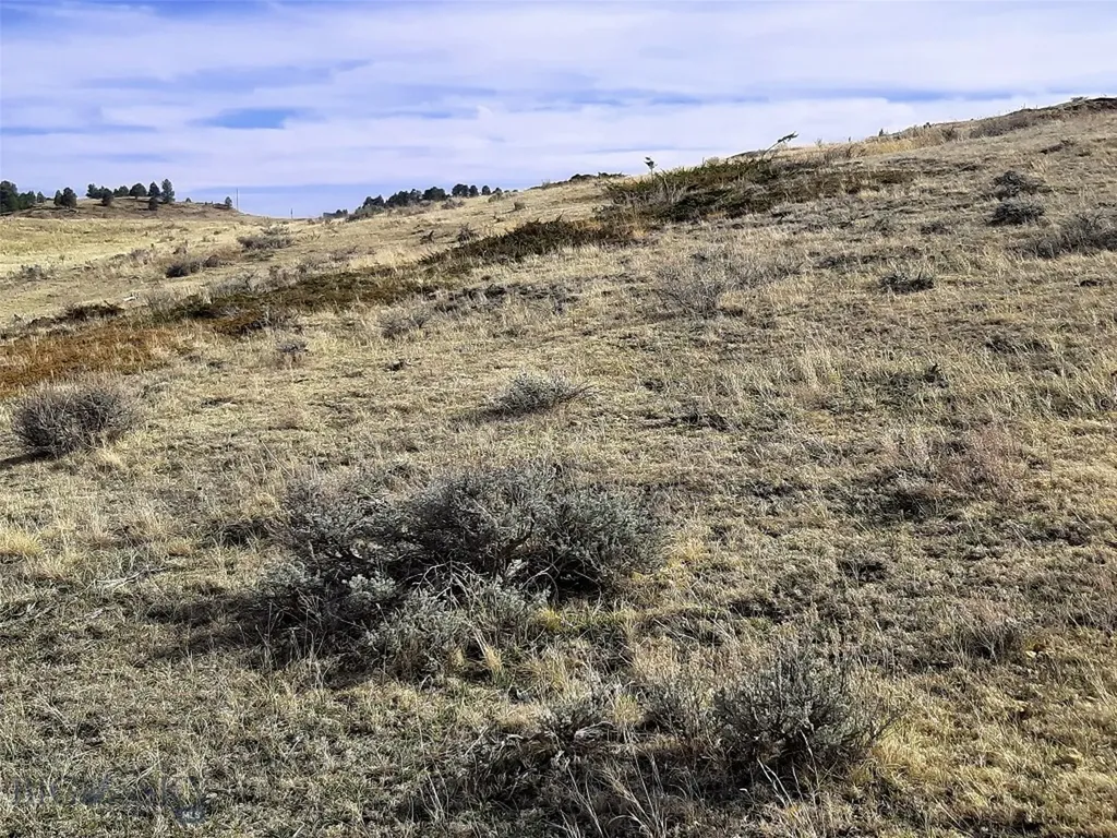 0 Davis Road Miles City MT 59301
