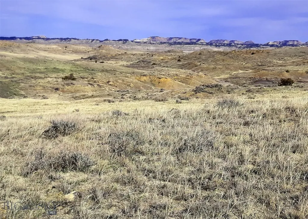 0 Davis Road Miles City MT 59301