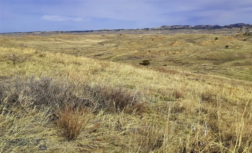 0 Davis Road Miles City MT 59301