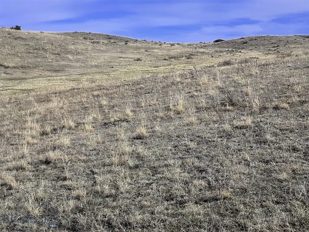 0 Davis Road Miles City MT 59301