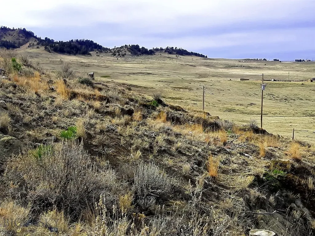 0 Davis Road Miles City MT 59301