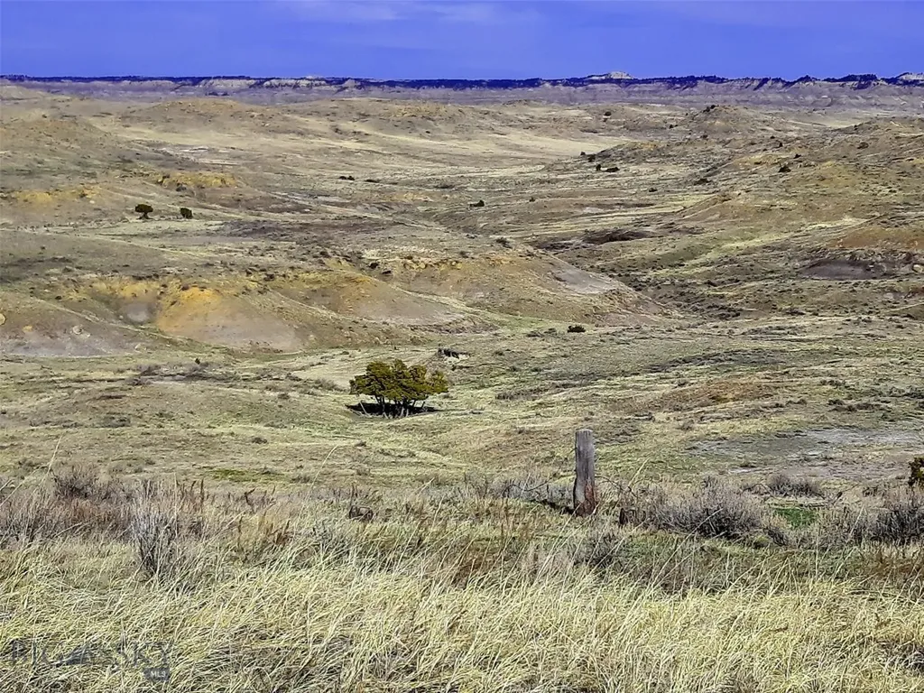 0 Davis Road Miles City MT 59301