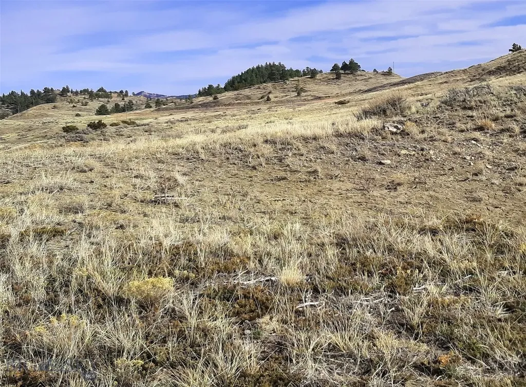 0 Davis Road Miles City MT 59301