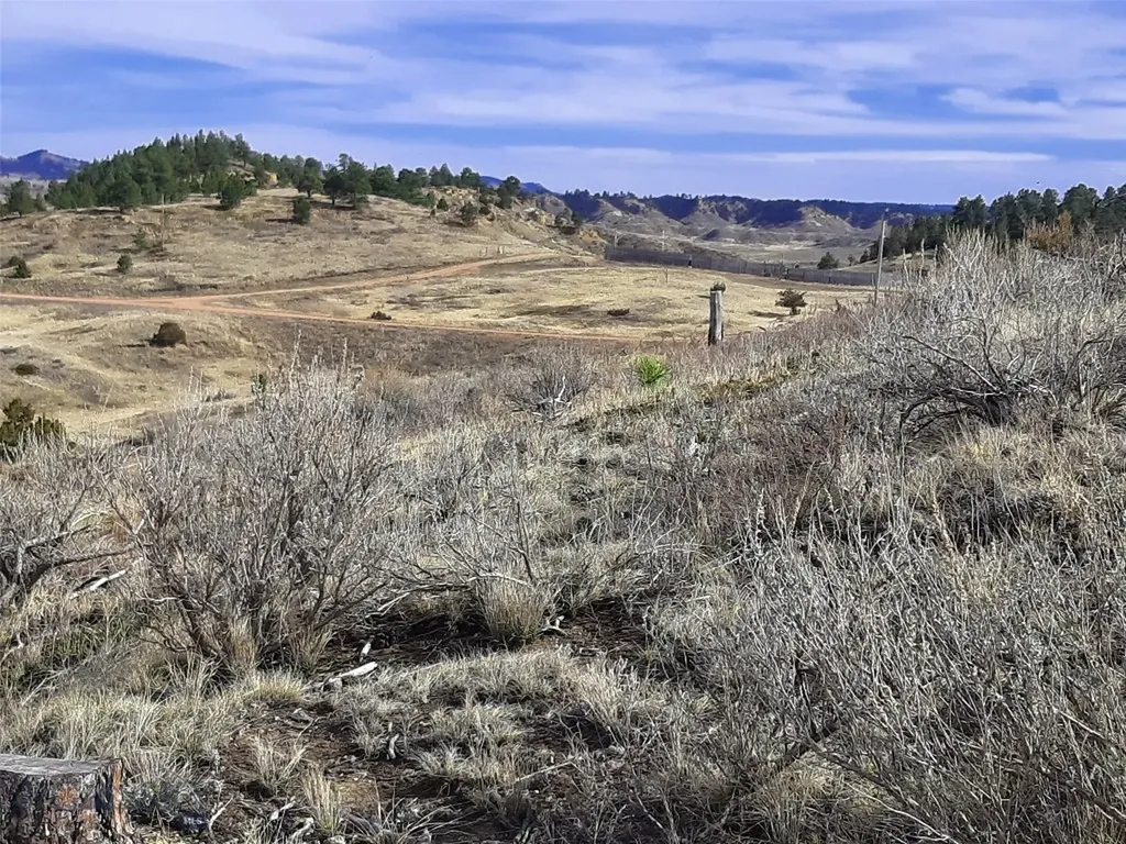 0 Davis Road Miles City MT 59301